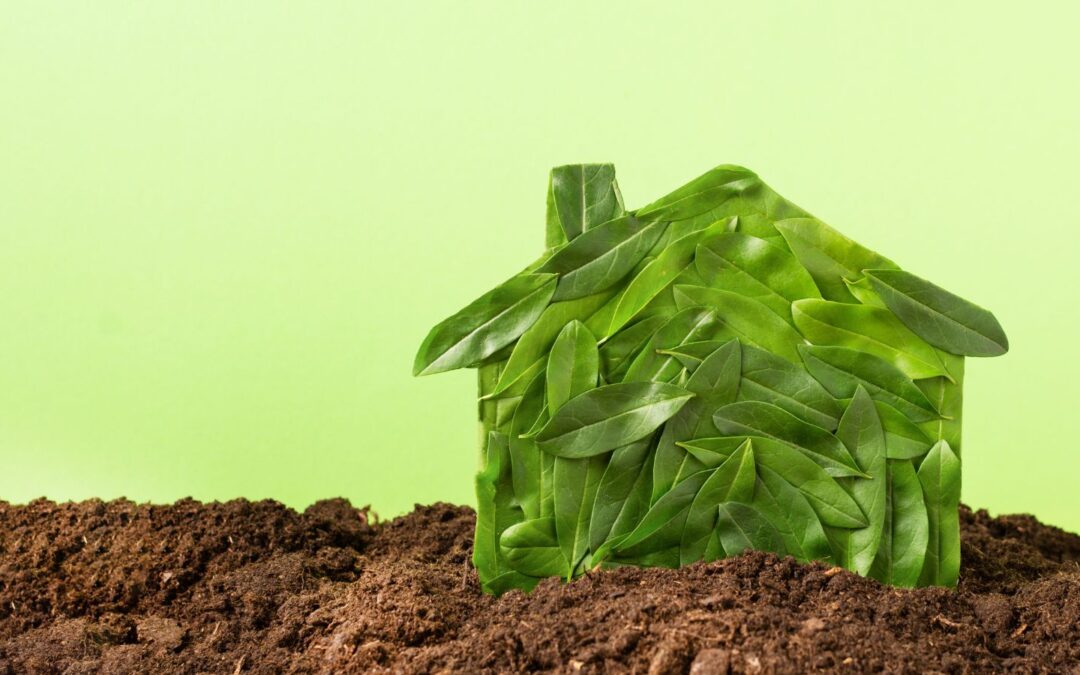 Sustainable and Green Real Estate: Building a Better Future